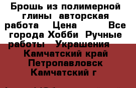 Брошь из полимерной глины, авторская работа. › Цена ­ 900 - Все города Хобби. Ручные работы » Украшения   . Камчатский край,Петропавловск-Камчатский г.